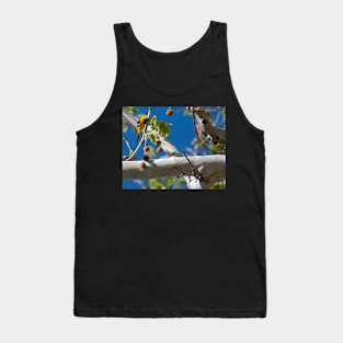 Extremely Yellow Hooded Oriole Tank Top